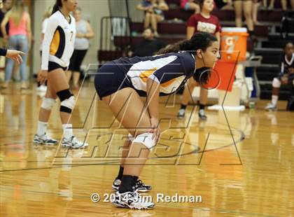 Thumbnail 2 in Stony Point @ Rouse photogallery.
