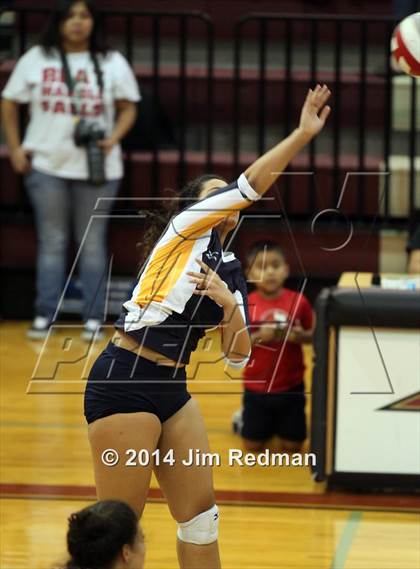 Thumbnail 3 in Stony Point @ Rouse photogallery.