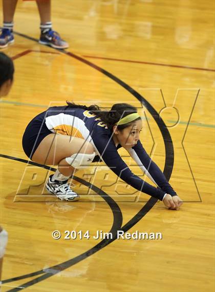 Thumbnail 2 in Stony Point @ Rouse photogallery.