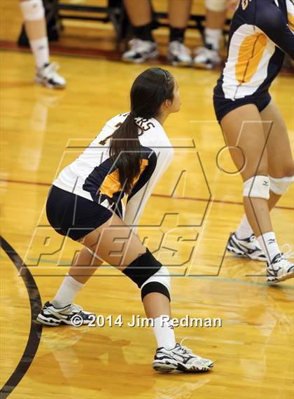 Thumbnail 2 in Stony Point @ Rouse photogallery.