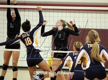 Thumbnail 2 in Stony Point @ Rouse photogallery.