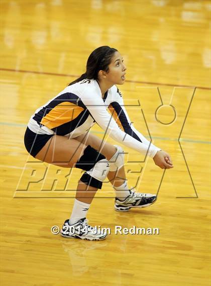 Thumbnail 3 in Stony Point @ Rouse photogallery.