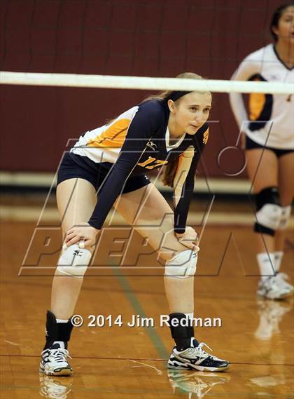 Thumbnail 2 in Stony Point @ Rouse photogallery.
