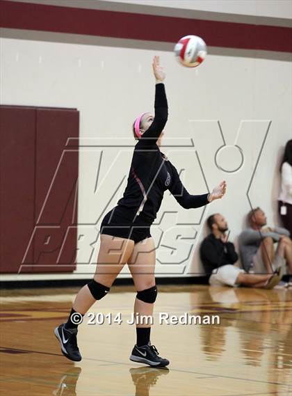 Thumbnail 3 in Stony Point @ Rouse photogallery.