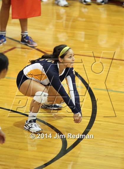 Thumbnail 2 in Stony Point @ Rouse photogallery.