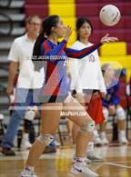 Photo from the gallery "Los Altos @ Wilson"