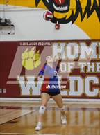 Photo from the gallery "Los Altos @ Wilson"