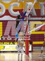 Photo from the gallery "Los Altos @ Wilson"