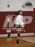 Photo from the gallery "Los Altos @ Wilson"