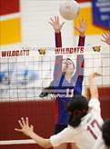 Photo from the gallery "Los Altos @ Wilson"