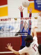 Photo from the gallery "Los Altos @ Wilson"