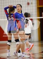 Photo from the gallery "Los Altos @ Wilson"