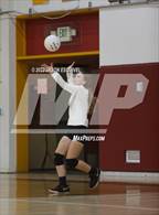 Photo from the gallery "Los Altos @ Wilson"