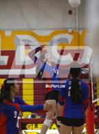 Photo from the gallery "Los Altos @ Wilson"