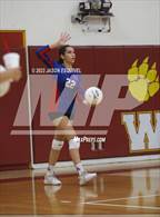 Photo from the gallery "Los Altos @ Wilson"