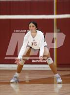 Photo from the gallery "Los Altos @ Wilson"