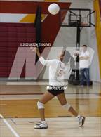 Photo from the gallery "Los Altos @ Wilson"