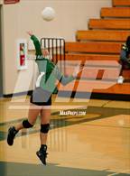 Photo from the gallery "Laguna Creek @ Monterey Trail"