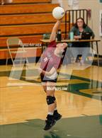 Photo from the gallery "Laguna Creek @ Monterey Trail"