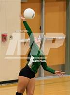 Photo from the gallery "Laguna Creek @ Monterey Trail"