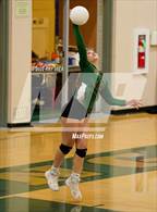 Photo from the gallery "Laguna Creek @ Monterey Trail"