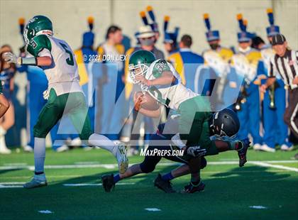 Thumbnail 1 in JV: Rodriguez @ Napa photogallery.