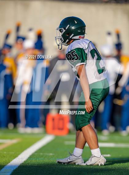 Thumbnail 2 in JV: Rodriguez @ Napa photogallery.