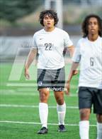 Photo from the gallery "Nelson @ Silverton"