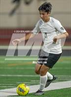 Photo from the gallery "Nelson @ Silverton"