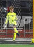 Photo from the gallery "Nelson @ Silverton"