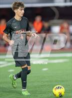 Photo from the gallery "Nelson @ Silverton"