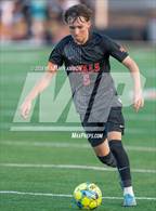 Photo from the gallery "Nelson @ Silverton"