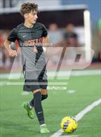 Photo from the gallery "Nelson @ Silverton"