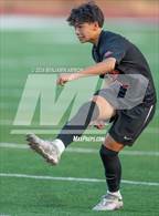 Photo from the gallery "Nelson @ Silverton"