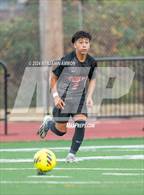 Photo from the gallery "Nelson @ Silverton"