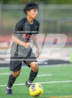 Photo from the gallery "Nelson @ Silverton"