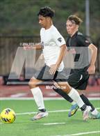 Photo from the gallery "Nelson @ Silverton"