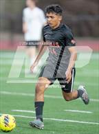 Photo from the gallery "Nelson @ Silverton"