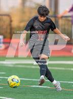 Photo from the gallery "Nelson @ Silverton"