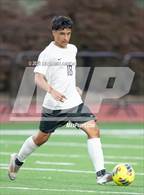 Photo from the gallery "Nelson @ Silverton"