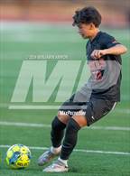 Photo from the gallery "Nelson @ Silverton"