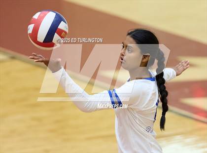 Thumbnail 3 in Campbell @ Lassiter photogallery.