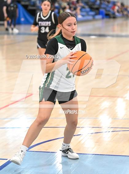 Thumbnail 1 in Basha vs. Millennium (Section 7) photogallery.