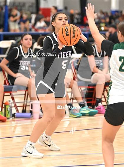 Thumbnail 2 in Basha vs. Millennium (Section 7) photogallery.