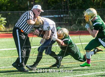 Thumbnail 3 in Coyle-Cassidy @ Bishop Feehan photogallery.