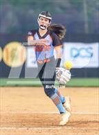 Photo from the gallery "Lake Cormorant @ Saltillo"