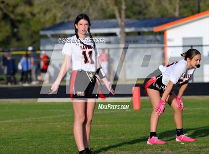 Thumbnail 2 in Spruce Creek @ University photogallery.