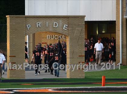 Thumbnail 1 in Tatum @ Gilmer photogallery.