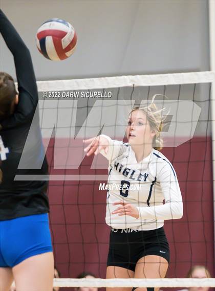 Thumbnail 3 in Thunderbird vs. Higley (Epic Tourneys Volleyball Invite) photogallery.