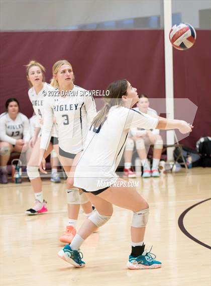 Thumbnail 2 in Thunderbird vs. Higley (Epic Tourneys Volleyball Invite) photogallery.